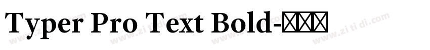 Typer Pro Text Bold字体转换